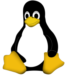 This is Tux, the mascot for the Linux kernel